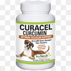 Curacel® Curcumin - Companion Dog, HD Png Download - dogs playing png