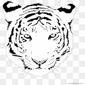 Transparent Cute Tiger Clipart - Cute White Tiger Png, Png Download - clemson tiger paw png