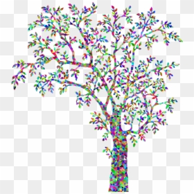 Draw A Tree Silhouette, HD Png Download - colorful tree png