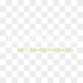 We"ll Handle The Details - Calligraphy, HD Png Download - wedding divider png