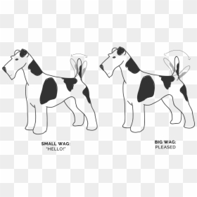 Ancient Dog Breeds, HD Png Download - dog tail png