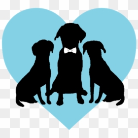 Pet, HD Png Download - dog tail png