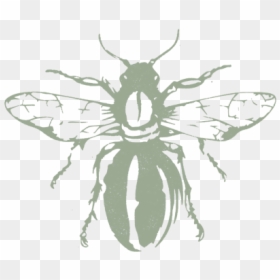 Buzz-beeblock1 - House Fly, HD Png Download - buzz png