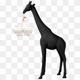 Giraffe In Love Xs, HD Png Download - giraffe head png