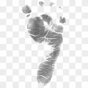 Footprint, HD Png Download - baby in womb png