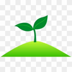 Clip Art, HD Png Download - plant stem png