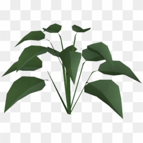 Old School Runescape Wiki - Huge Plant Osrs, HD Png Download - plant stem png