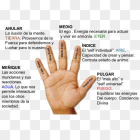 Prana Mudra, HD Png Download - pulgar arriba png