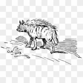 Africa Animal Hyena Free Photo - Brown Hyenas Clipart Black And White, HD Png Download - africa vector png