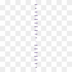 Clip Art, HD Png Download - longclaw png