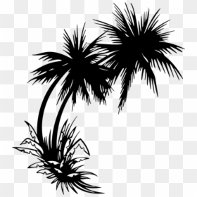 Clip Art Palm Trees Sticker Image - Palm Tree Sunset Png, Transparent Png - black palm tree png