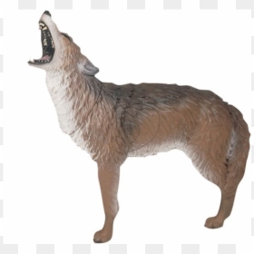 Advantages Of A 3d Archery Target - Howling Coyote 3d Archery Target, HD Png Download - archery target png