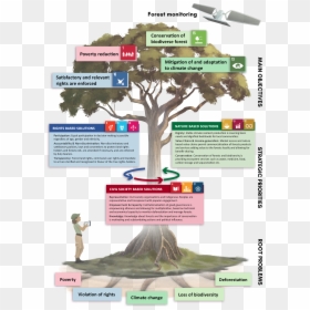 Bonsai, HD Png Download - deforestation png