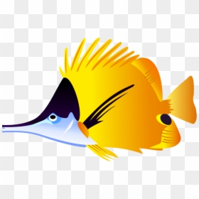 Clipart Tropical Fish, HD Png Download - fish png
