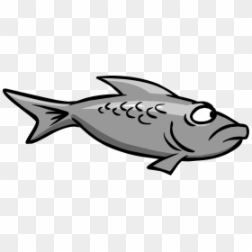 Silver Fish Club Penguin, HD Png Download - fish png