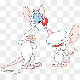 Pinky And The Brain Stoned, HD Png Download - brain png
