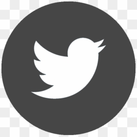Twitter Flat Icon Png, Transparent Png - youtube icon png