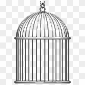 Bird Cage Transparent Background, HD Png Download - bird png