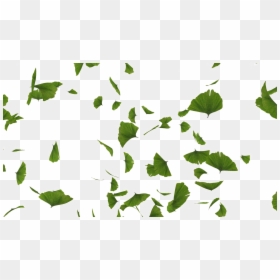 Green Leaves Falling Transparent, HD Png Download - leaves png