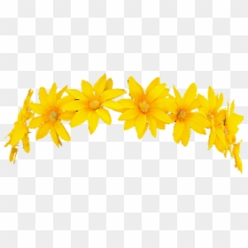 Flower Crown Png Snapchat, Transparent Png - flower crown png