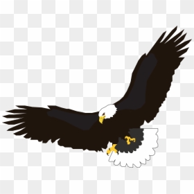 Clip Art Eagle Flying, HD Png Download - eagle png