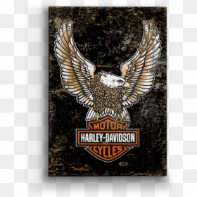 Harley Davidson, HD Png Download - eagle png