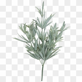 Monkshood, HD Png Download - bush png