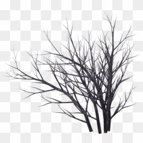 Dead Tree Render, HD Png Download - bush png