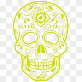 Skull, HD Png Download - amigos png