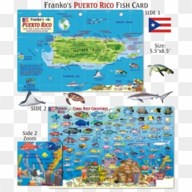 Puerto Rico Map Png, Transparent Png - puerto rico map png