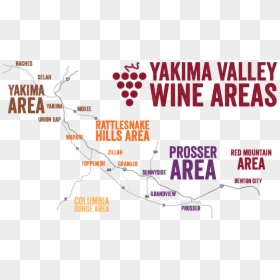 Wine Tasting Png, Transparent Png - wine tasting png