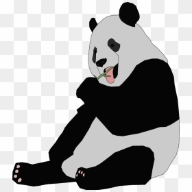 Giant Panda Clip Art, HD Png Download - pandas png