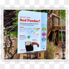 Banner, HD Png Download - pandas png