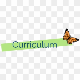 Curriculum - Preschool, HD Png Download - curriculum png