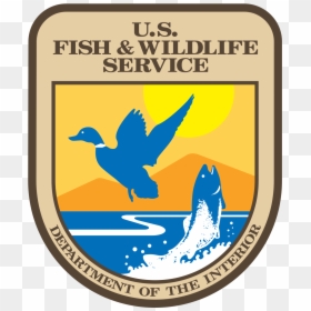 Us Fish And Wildlife Service, HD Png Download - forest service logo png
