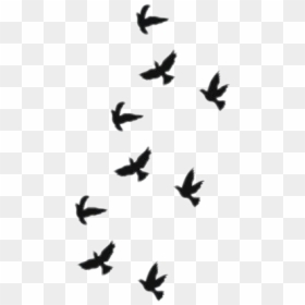 #pajaritos - Little Birds Tattoo Designs, HD Png Download - pajaritos png