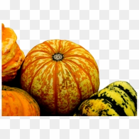 #ftestickers #autumn #fall #nature #pumpkins #gourds - Autumn Gourds Png, Transparent Png - gourds png