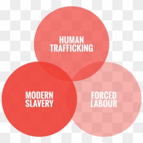 00 - Labour Trafficking, HD Png Download - human trafficking png