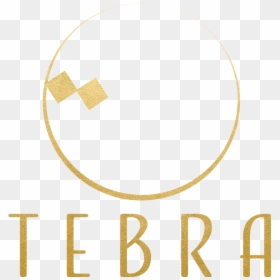 Tebra Logo Trans - Tan, HD Png Download - trans png