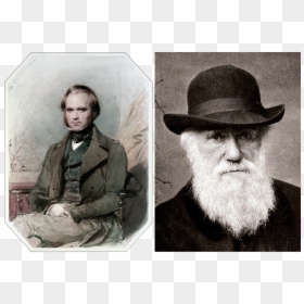 Darwin - Charles Darwin, HD Png Download - charles darwin png