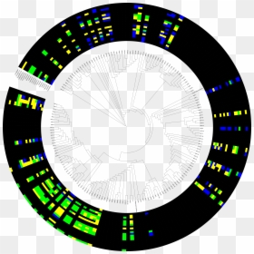 Heatmap Png, Transparent Png - heatmap png