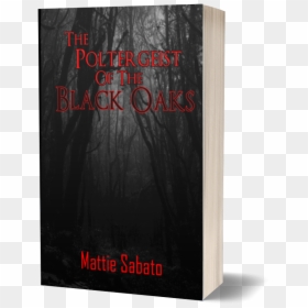 Book Cover, HD Png Download - poltergeist png