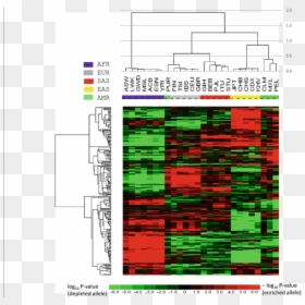 Diagram, HD Png Download - heatmap png
