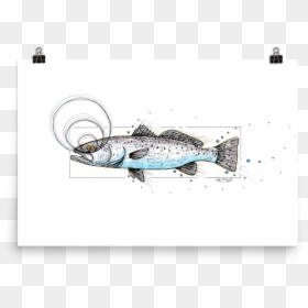 Trout Poster - Illustration, HD Png Download - speckled trout png