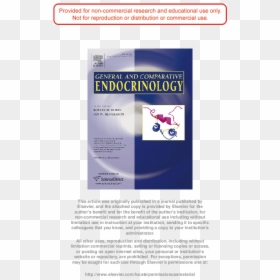 Document, HD Png Download - lonk png