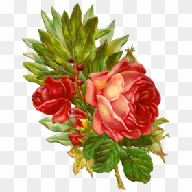 Transparent Vintage Flowers Clipart - Flowers Vintage Red Victorian, HD Png Download - vintage flower graphic png