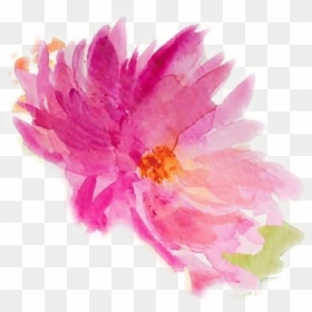 #watercolor #watercolours #flowers - Chinese Peony, HD Png Download - watercolor peony png