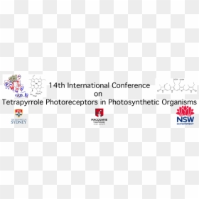 Nsw Government, HD Png Download - photosynthesis png