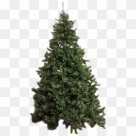 Árvore De Natal - Christmas Tree Transparent, HD Png Download - bola de natal png