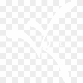 Vr Ent Logo Weiss - Not Enter Sign Printable, HD Png Download - ent png